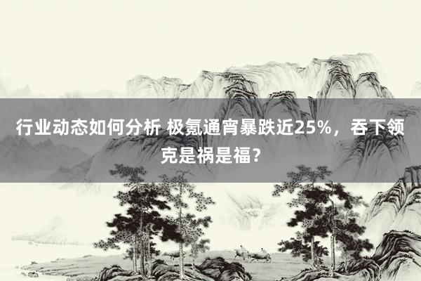 行业动态如何分析 极氪通宵暴跌近25%，吞下领克是祸是福？