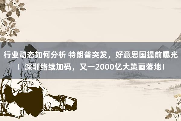 行业动态如何分析 特朗普突发，好意思国提前曝光！深圳络续加码，又一2000亿大策画落地！