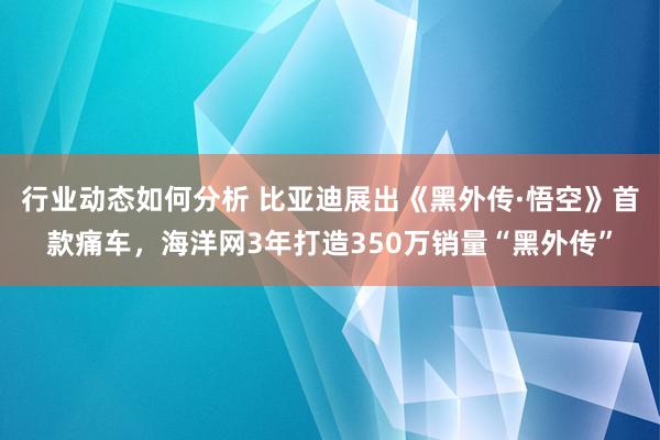 行业动态如何分析 比亚迪展出《黑外传·悟空》首款痛车，海洋网3年打造350万销量“黑外传”