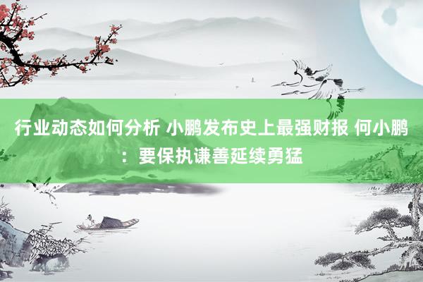 行业动态如何分析 小鹏发布史上最强财报 何小鹏：要保执谦善延续勇猛