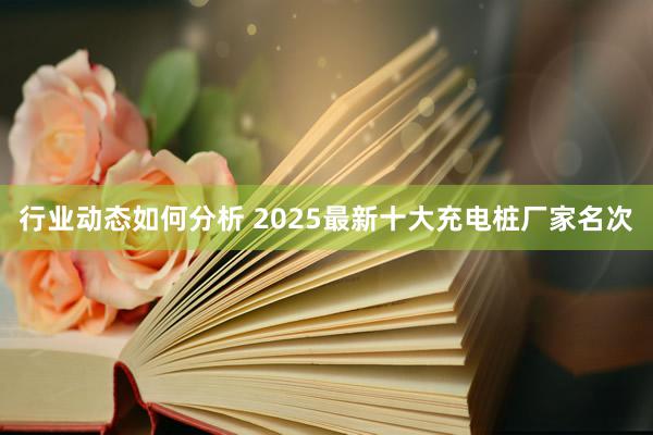 行业动态如何分析 2025最新十大充电桩厂家名次