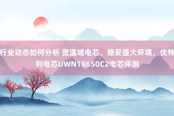 行业动态如何分析 宽温域电芯、稳妥盛大环境，优特利电芯UWN18650C2电芯评测