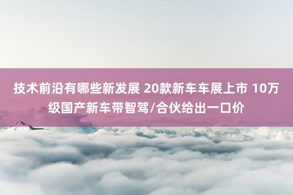 技术前沿有哪些新发展 20款新车车展上市 10万级国产新车带智驾/合伙给出一口价