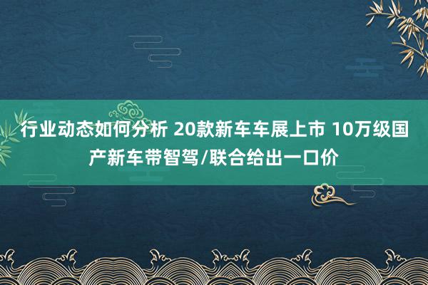 行业动态如何分析 20款新车车展上市 10万级国产新车带智驾/联合给出一口价