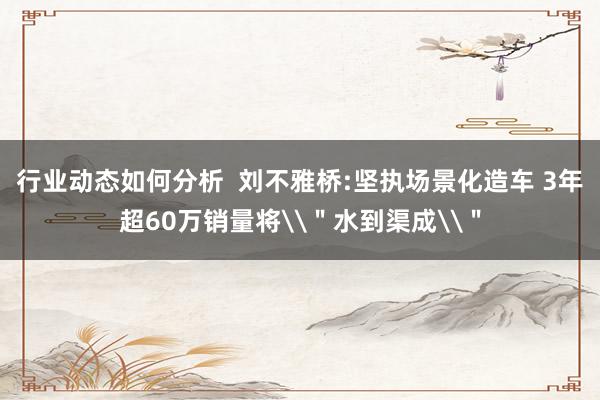 行业动态如何分析  刘不雅桥:坚执场景化造车 3年超60万销量将\＂水到渠成\＂