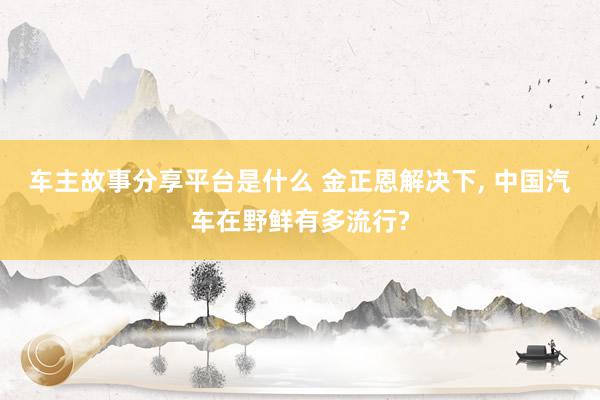 车主故事分享平台是什么 金正恩解决下, 中国汽车在野鲜有多流行?