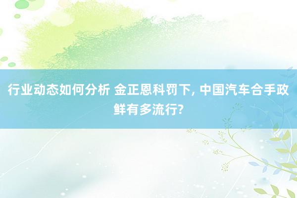 行业动态如何分析 金正恩科罚下, 中国汽车合手政鲜有多流行?