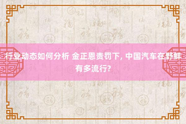 行业动态如何分析 金正恩责罚下, 中国汽车在野鲜有多流行?