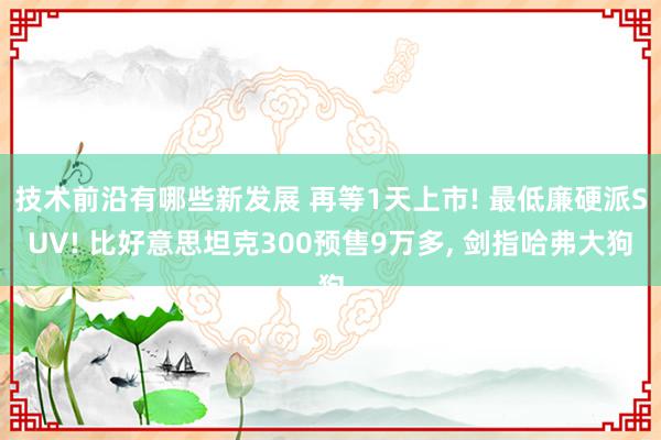 技术前沿有哪些新发展 再等1天上市! 最低廉硬派SUV! 比好意思坦克300预售9万多, 剑指哈弗大狗