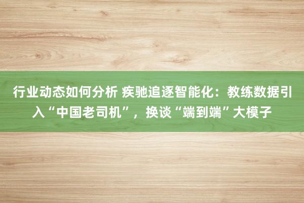 行业动态如何分析 疾驰追逐智能化：教练数据引入“中国老司机”，换谈“端到端”大模子