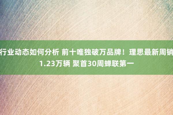 行业动态如何分析 前十唯独破万品牌！理思最新周销1.23万辆 聚首30周蝉联第一