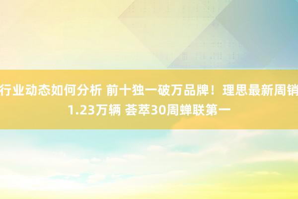 行业动态如何分析 前十独一破万品牌！理思最新周销1.23万辆 荟萃30周蝉联第一