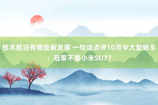 技术前沿有哪些新发展 一句话点评10月中大型轿车：冠军不是小米SU7？