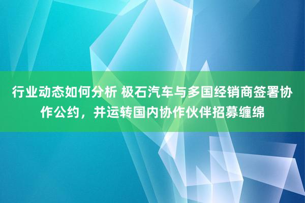 行业动态如何分析 极石汽车与多国经销商签署协作公约，并运转国内协作伙伴招募缠绵