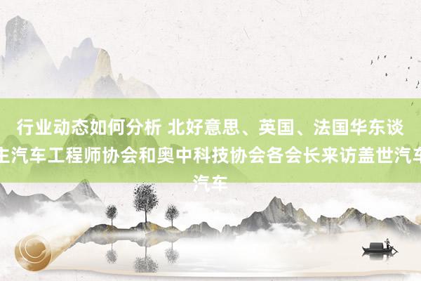 行业动态如何分析 北好意思、英国、法国华东谈主汽车工程师协会和奥中科技协会各会长来访盖世汽车