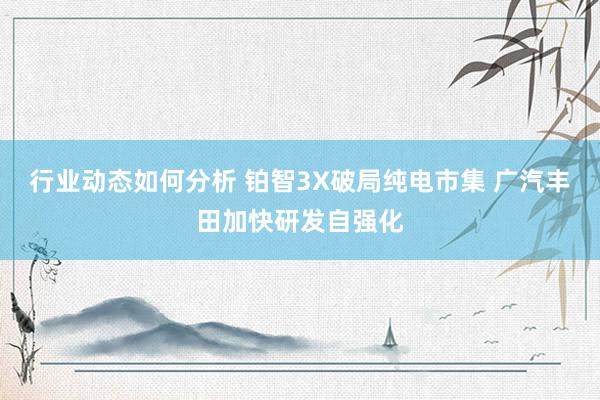 行业动态如何分析 铂智3X破局纯电市集 广汽丰田加快研发自强化