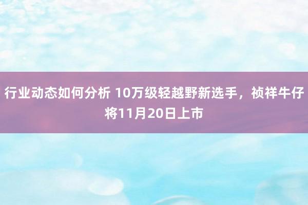 行业动态如何分析 10万级轻越野新选手，祯祥牛仔将11月20日上市