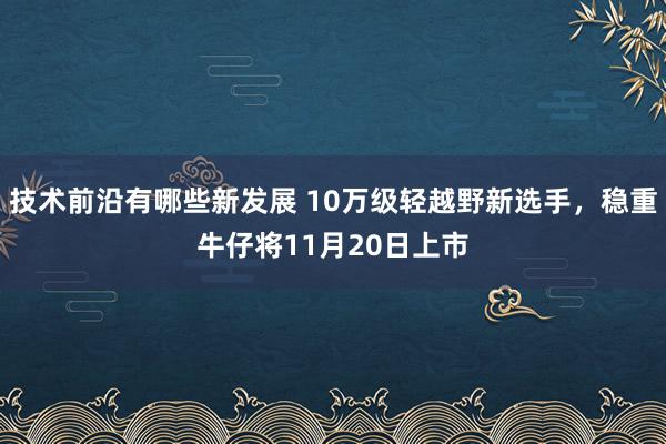 技术前沿有哪些新发展 10万级轻越野新选手，稳重牛仔将11月20日上市