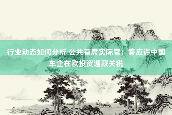 行业动态如何分析 公共首席实际官：答应许中国车企在欧投资遁藏关税