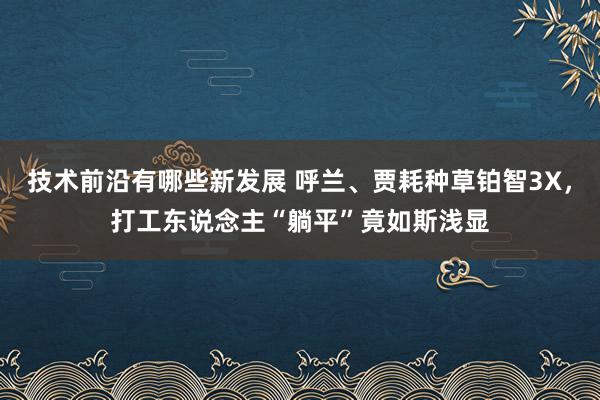 技术前沿有哪些新发展 呼兰、贾耗种草铂智3X，打工东说念主“躺平”竟如斯浅显