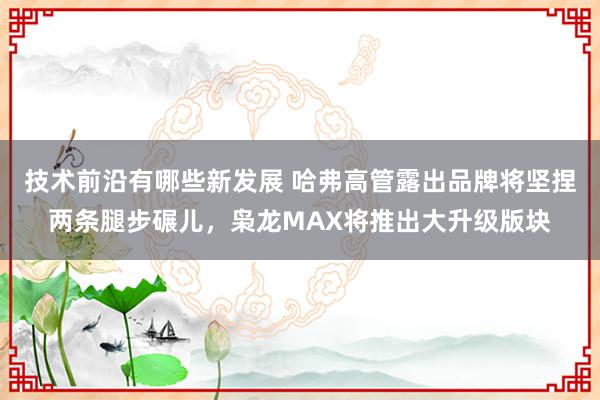 技术前沿有哪些新发展 哈弗高管露出品牌将坚捏两条腿步碾儿，枭龙MAX将推出大升级版块